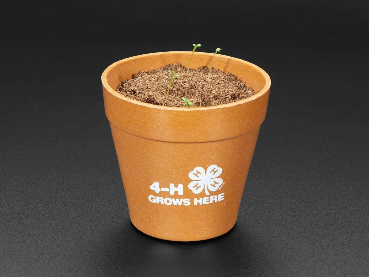 4-H Grow Your Own Clovers Kit With Circuit Playground Express (Soil Sensor Mini Kit) - Image 5