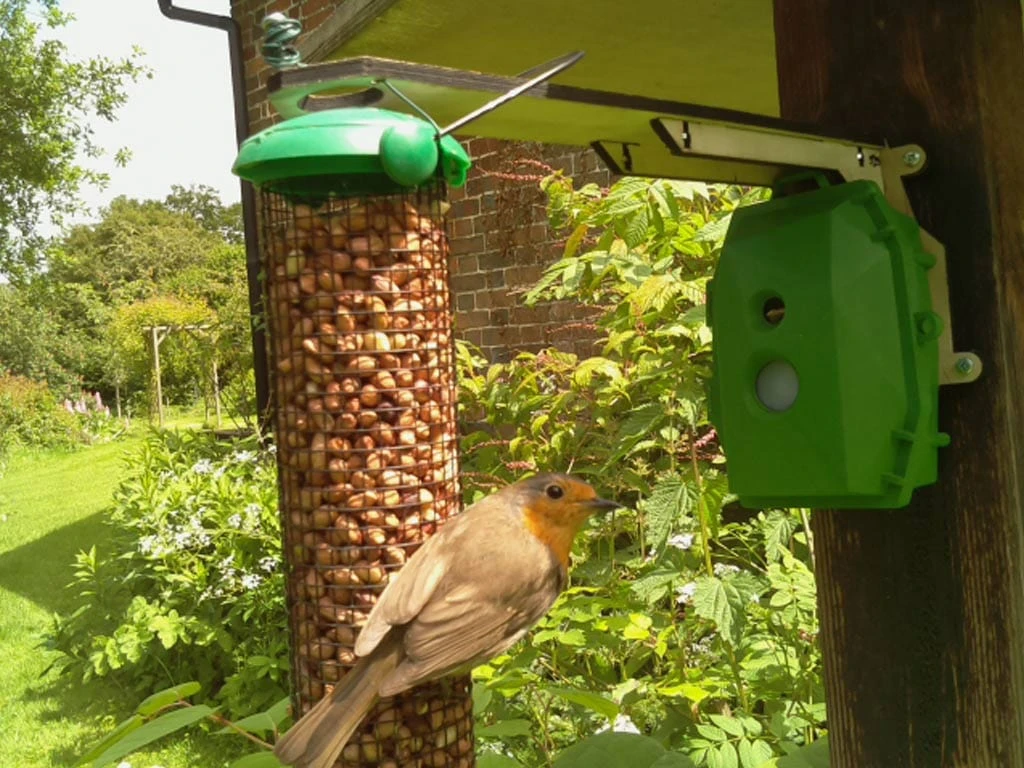 Naturebytes Wildlife Camera Kit - Image 6